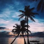 Avatar de Franco Leyva